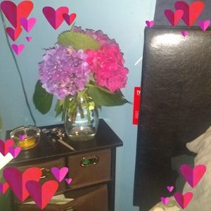 Meet your Posher, Frances